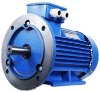 Электродвигатель Mogilevsk AIR 90 L 1500 (10120421F)