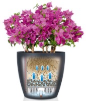 Цветочный горшок Lechuza Classico Color 18 Sand Brown фото №2 — интернет-магазин Desire.md