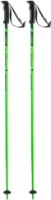Лыжные палки Elan Hot Rod Green 125cm