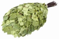 Веник березовый Hot Pot 46365