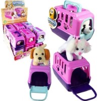 Set jucării ChiToys (DR5001) imaginea #3 — magazin online Desire.md