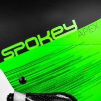 Горнолыжный шлем Spokey Apex M (926371) фото №6 — интернет-магазин Desire.md