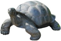 Figurina gradina Figuren Discounter Tortoise (Z2700)