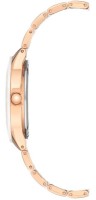 Ceas de mână Anne Klein AK/3160WTRG imaginea #2 — magazin online Desire.md