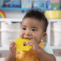 Игрушка-прорезыватель Bright Starts (12503) фото №3 — интернет-магазин Desire.md