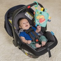 Игрушка для колясок и кроваток Bright Starts (12619) фото №3 — интернет-магазин Desire.md
