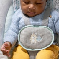 Leagăn pentru bebeluși Bright Starts Ingenuity AnyWay Sway Spruce imaginea #6 — magazin online Desire.md