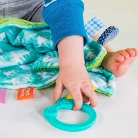 Jucărie pentru pătuturi si carucioare Bright Starts Little Taggies (12305) imaginea #2 — magazin online Desire.md