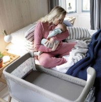 Leagăn Joie 2in1 Roomie Gray Flannel imaginea #8 — magazin online Desire.md