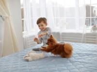 Топпер Dormeo Roll Up 3 Zones 150x190 фото №6 — интернет-магазин Desire.md