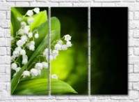 Картина Magic Color A bouquet of lilies of the valley on a Dark background (500164)
