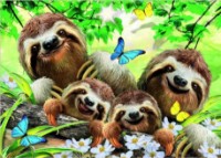 Пазл Educa 500 Sloth Family Selfie (18450) фото №1 — интернет-магазин Desire.md