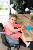 Scaun portativ pentru copi Nuby NV05002  imaginea #3 — magazin online Desire.md