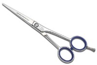 Foarfece pentru frizeri Jaguar 2250 imaginea #1 — magazin online Desire.md