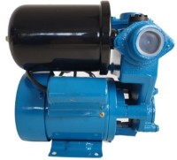 Hidrofor Elefant PS130 imaginea #2 — magazin online Desire.md