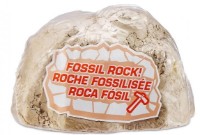 Figurină animală Zuru Dino Fossil Find (7156) imaginea #2 — magazin online Desire.md