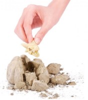 Figurină animală Zuru Dino Fossil Find (7156) imaginea #6 — magazin online Desire.md