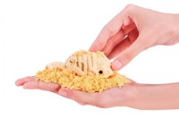 Figurină animală Zuru Dino Fossil Find (7156) imaginea #13 — magazin online Desire.md