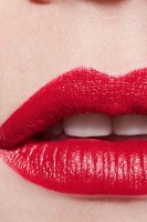 Помада для губ Chanel Rouge Allure L’Extrait 834 фото №4 — интернет-магазин Desire.md