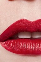 Помада для губ Chanel Rouge Allure L’Extrait 858 фото №4 — интернет-магазин Desire.md