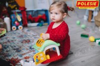 Сортер Полесье (48745)  фото №3 — интернет-магазин Desire.md