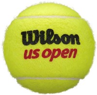 Minge pentru tenis Wilson US Open XD (WRT116203) imaginea #1 — magazin online Desire.md