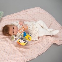 Jucărie pentru pătuturi si carucioare Taf Toys (12755) imaginea #2 — magazin online Desire.md