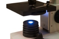 Микроскоп Levenhuk Rainbow 2L Plus Moonstone Microscop фото №6 — интернет-магазин Desire.md