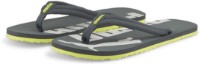Șlapi pentru bărbați Puma Epic Flip V2 Dark Slate/Nimbus Cloud 42 imaginea #1 — magazin online Desire.md