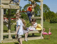 Игровой комплекс PlayPark Crossfit+Swing фото №4 — интернет-магазин Desire.md