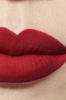 Помада для губ Chanel Rouge Allure Ink Fusion Intense Matte 822 Deep Pink фото №3 — интернет-магазин Desire.md