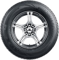 Шина Roadstone WinGuard SUV 255/55 R18 109V фото №2 — интернет-магазин Desire.md