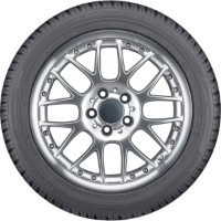 Шина Dunlop SP Winter Sport 3D 235/65 R17 104H фото №2 — интернет-магазин Desire.md