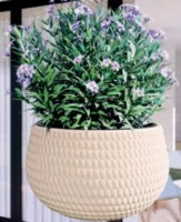 Ghiveci Form Plastic Kula Lina (4625-076) imaginea #2 — magazin online Desire.md