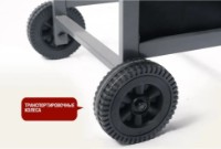 Газовый гриль Start Grill Esprit-21B SG фото №9 — интернет-магазин Desire.md