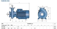 Циркуляционный насос Pedrollo F65/250C 30kW (4FN65250CE) фото №3 — интернет-магазин Desire.md