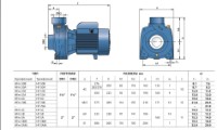 Pompă centrifugală Pedrollo HFm 50A imaginea #2 — magazin online Desire.md