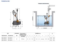 Pompă fecală Pedrollo BC15/50-N imaginea #2 — magazin online Desire.md