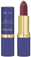 Помада для губ Pupa Winter Blooming Petalips 018 Ruby Rose фото №1 — интернет-магазин Desire.md