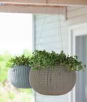 Ghiveci Keter Cozy M Hanging Dune (229540) imaginea #3 — magazin online Desire.md