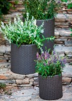 Цветочный горшок Keter Cylinder Planter S Anthracite (229120) фото №2 — интернет-магазин Desire.md