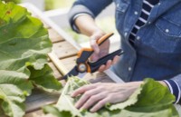 Ножницы садовые (секаторы) Fiskars PX94 фото №6 — интернет-магазин Desire.md