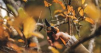 Ножницы садовые (секаторы) Fiskars PX94 фото №7 — интернет-магазин Desire.md