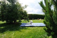 Saltea camping Amazonas Molly Ocean (AZ-5050103) imaginea #5 — magazin online Desire.md