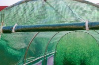 Seră FunFit 3x2x2m (1480) imaginea #7 — magazin online Desire.md