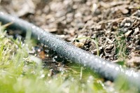 Микрокапельный полив Rehau Perlschlauch 15m фото №4 — интернет-магазин Desire.md