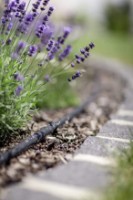 Микрокапельный полив Rehau Perlschlauch 15m фото №5 — интернет-магазин Desire.md