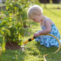 Cărucior pentru furtun RTRMAX RHG2001 imaginea #2 — magazin online Desire.md