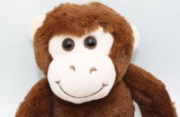 Интерактивная игрушка Take Me Home Monkey Coco (660248) фото №2 — интернет-магазин Desire.md