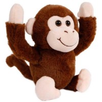 Jucarii interactive Take Me Home Monkey Coco (660248)